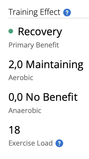 Screenshot of Garmin's Connect interface, saying the training effect is "Recovery".