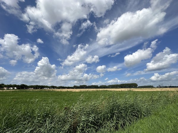 Wide view of a field with clouds in the sky.