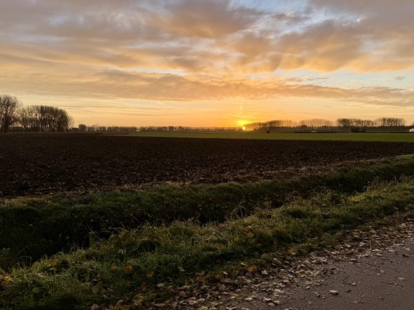 Picture of fields with a sunrise with fall colors